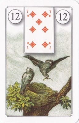 Imagem da Carta 12 do Baralho Cigano: As Corujas. A foto ilustra o artigo Significado das Cartas do Baralho Cigano ou Petit Lenormand do site Ori Mystyco.