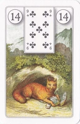 Imagem da Carta 14 do Baralho Cigano: A Raposa. A foto ilustra o artigo Significado das Cartas do Baralho Cigano ou Petit Lenormand do site Ori Mystyco.