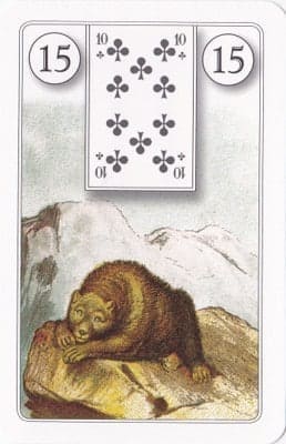 Imagem da Carta 15 do Baralho Cigano: O Urso. A foto ilustra o artigo Significado das Cartas do Baralho Cigano ou Petit Lenormand do site Ori Mystyco.