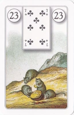 Imagem da Carta 23 do Baralho Cigano: O Rato. A foto ilustra o artigo Significado das Cartas do Baralho Cigano ou Petit Lenormand do site Ori Mystyco.