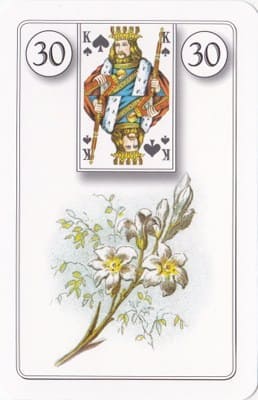 Imagem da Carta 30 do Baralho Cigano: Os Lírios. A foto ilustra o artigo Significado das Cartas do Baralho Cigano ou Petit Lenormand do site Ori Mystyco.