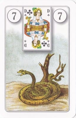 Imagem da Carta 7 do Baralho Cigano: A Serprente. A foto ilustra o artigo Significado das Cartas do Baralho Cigano ou Petit Lenormand do site Ori Mystyco.