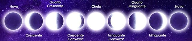 ilustração com todas as fases da lua. A foto ilustra o artigo Fases da lua: Como lançar feitiços usando esses períodos mágicos do site Ori Mystyco.