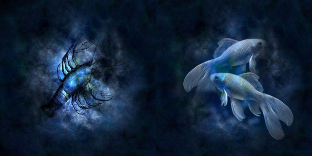 cancer combina com peixes sinastria amorosa - Site Ori Mystyco